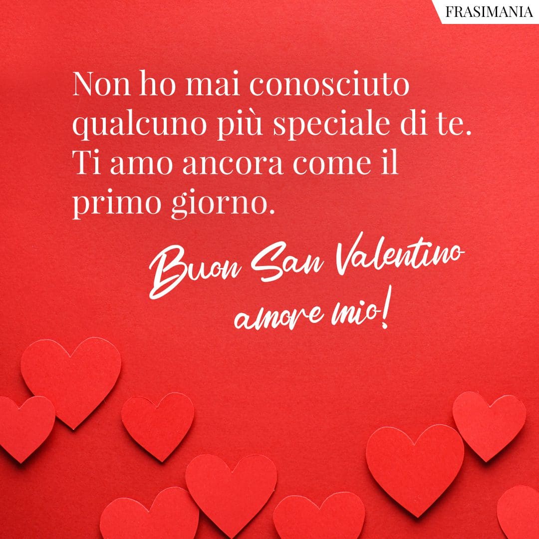 Non ho mai conosciuto qualcuno più speciale di te. Ti amo ancora come il primo giorno. Buon San Valentino amore mio!