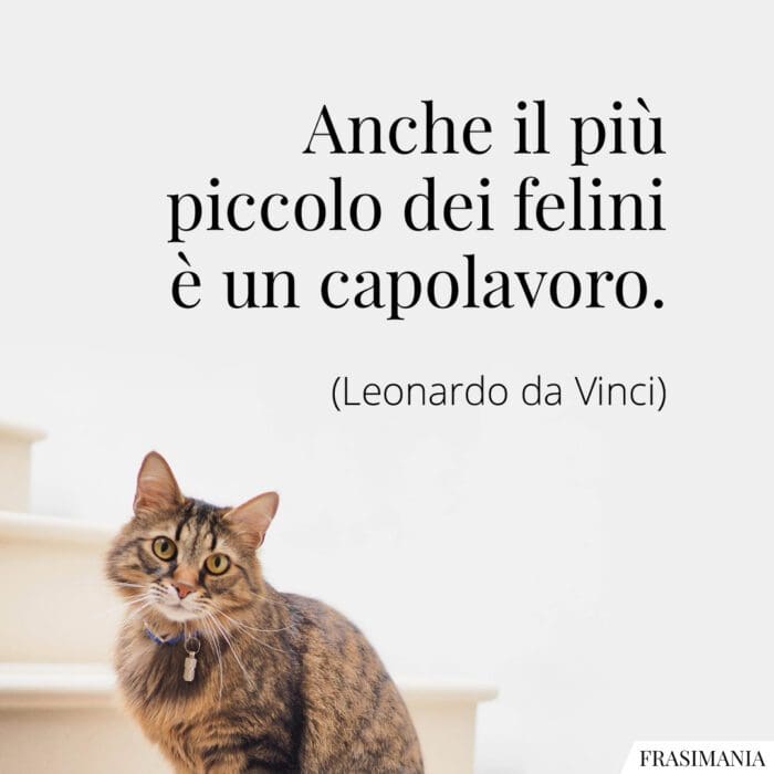 Frasi felini capolavoro da Vinci