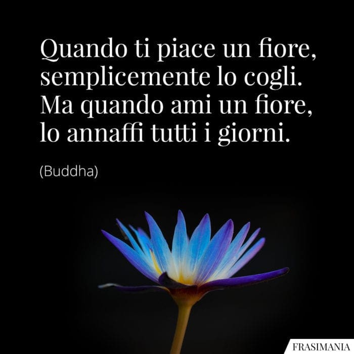 Quando ti piace un fiore, semplicemente lo cogli. Ma quando ami un fiore, lo annaffi tutti i giorni.