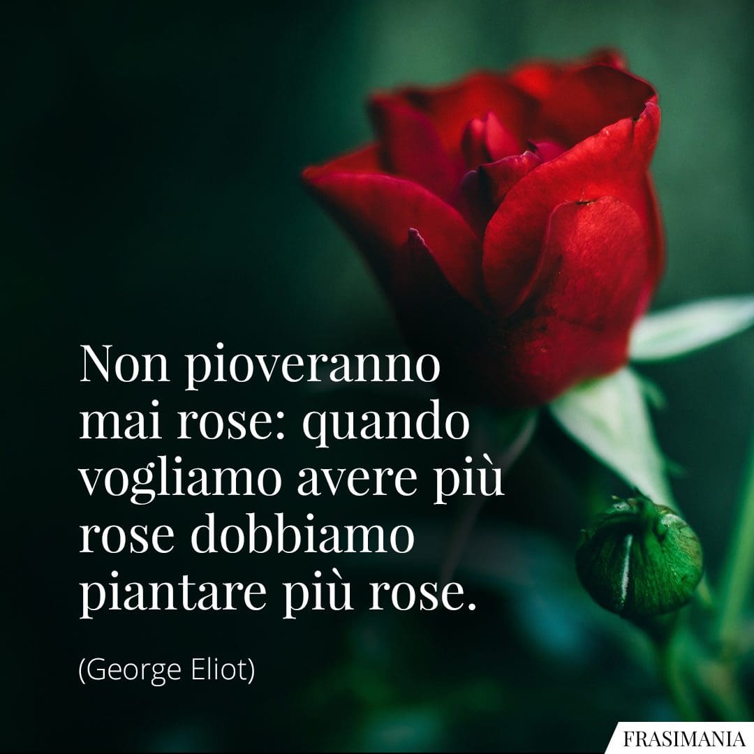 Non pioveranno mai rose: quando vogliamo avere più rose dobbiamo piantare più rose.