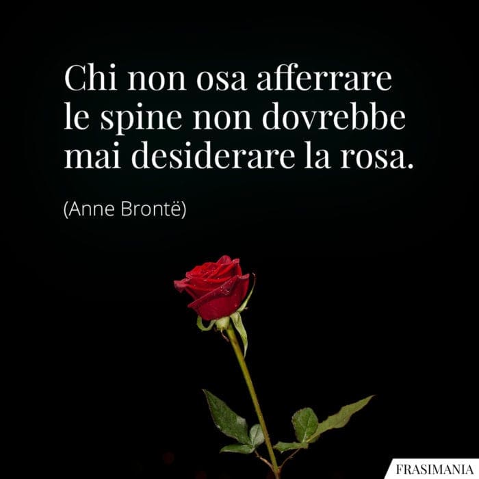 Chi non osa afferrare le spine non dovrebbe mai desiderare la rosa.