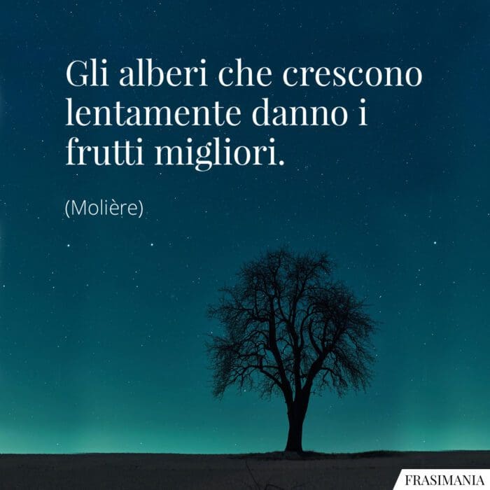 Gli alberi che crescono lentamente danno i frutti migliori.
