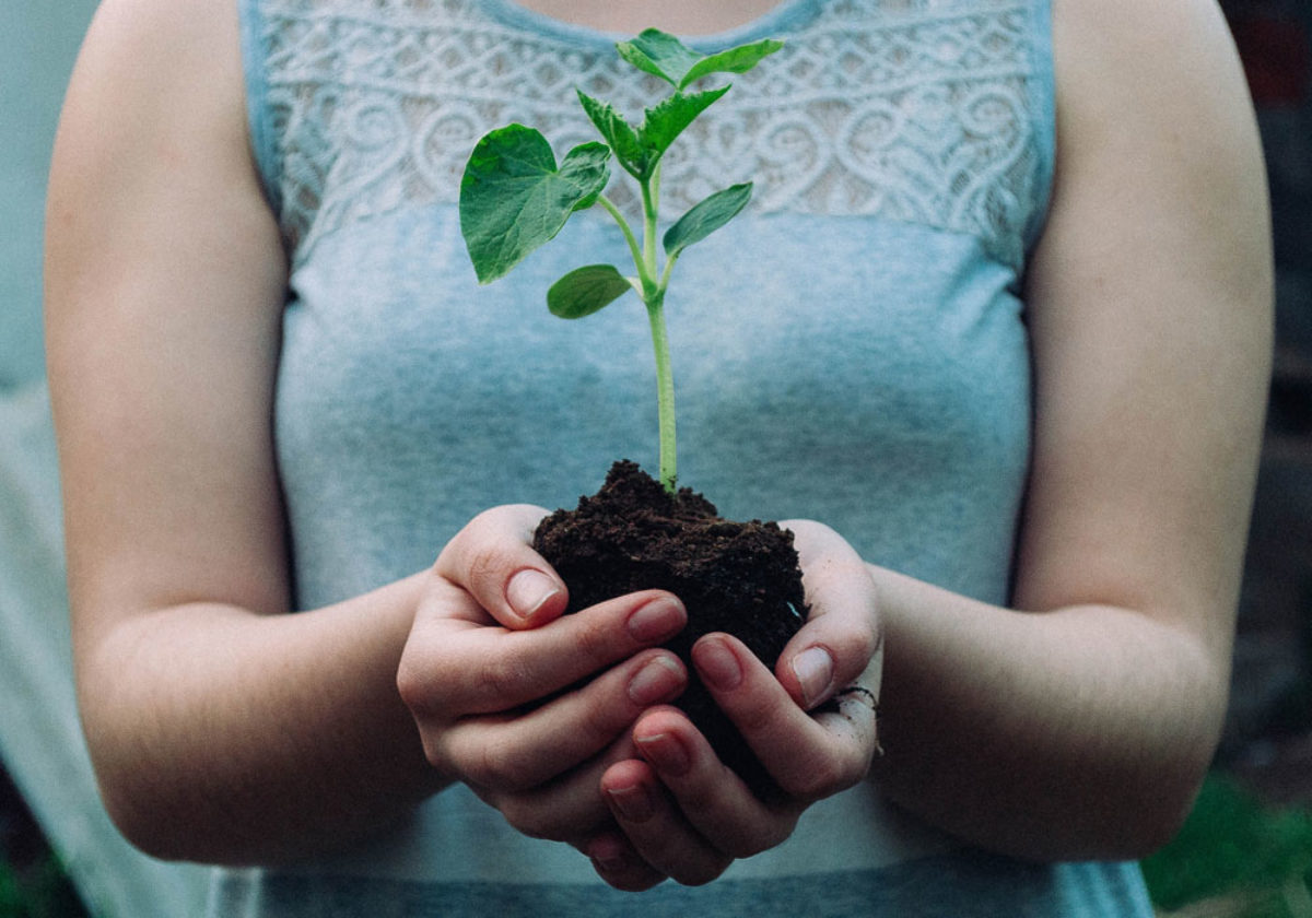 Frasi Sull Ambiente Le 45 Piu Belle In Inglese E Italiano