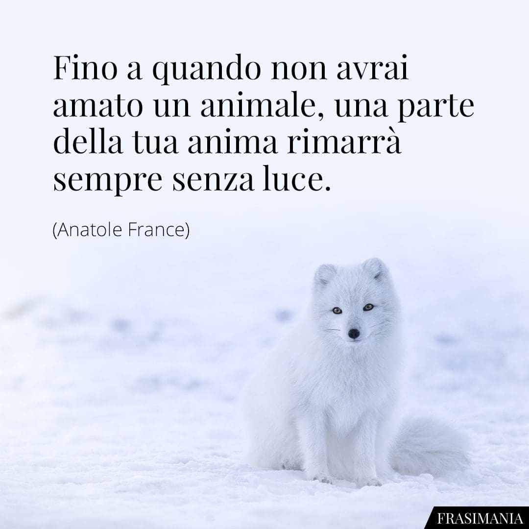 Fino a quando non avrai amato un animale, una parte della tua anima rimarrà sempre senza luce.