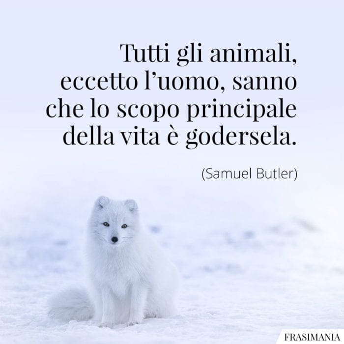 Tutti gli animali, eccetto l'uomo, sanno che lo scopo principale della vita è godersela.