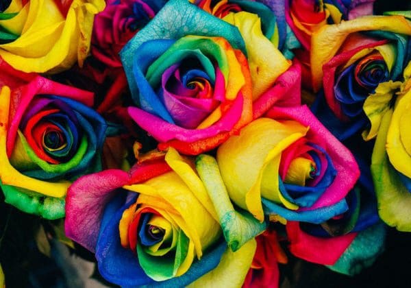 Le Piu Belle Filastrocche Ediz A Colori