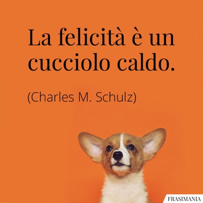 Frasi Sui Cani Con Immagini Le 45 Piu Belle In Inglese E Italiano