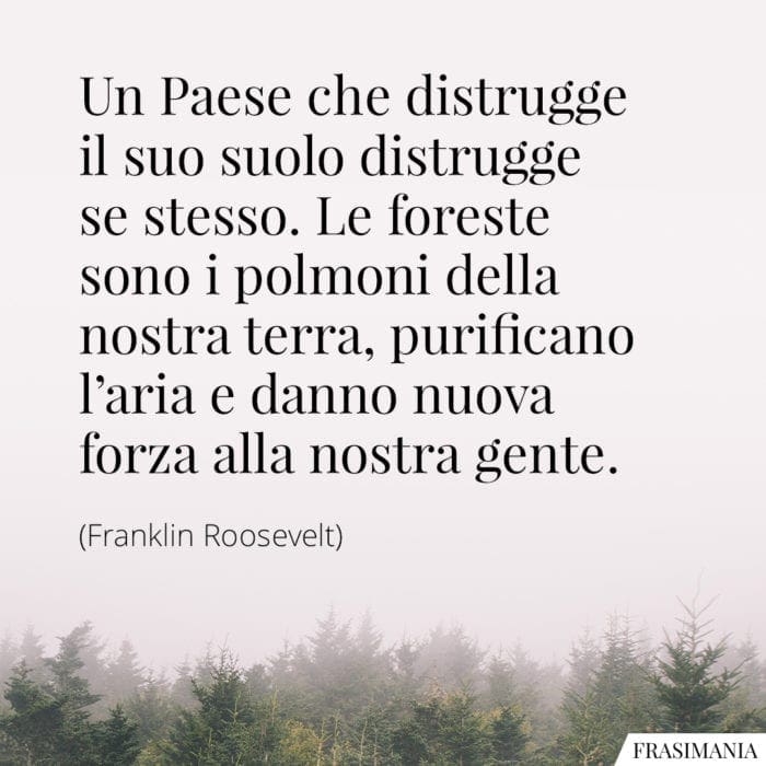 Un Paese che distrugge il suo suolo distrugge se stesso. Le foreste sono i polmoni della nostra terra, purificano l'aria e danno nuova forza alla nostra gente.