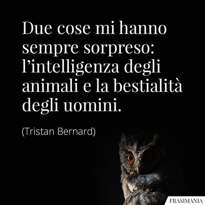 Frasi intelligenza animali uomini Bernard