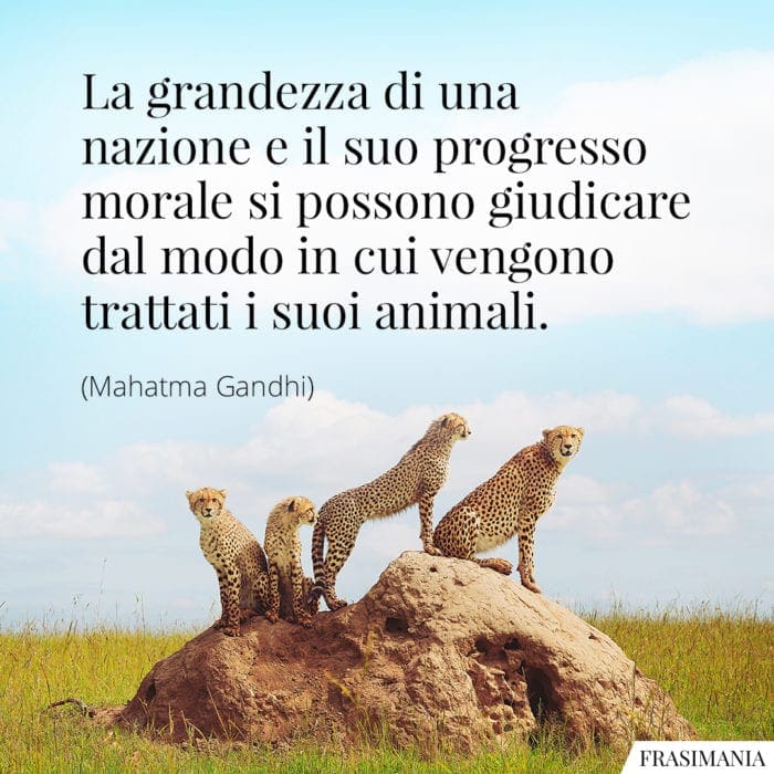 Frasi sugli Animali (con immagini): le 45 più belle in inglese e italiano