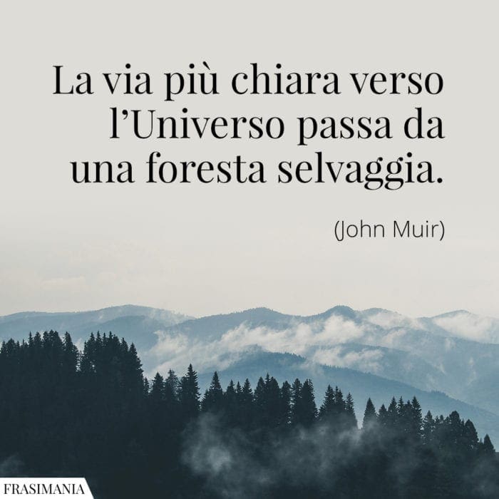 Frasi universo foresta Miur