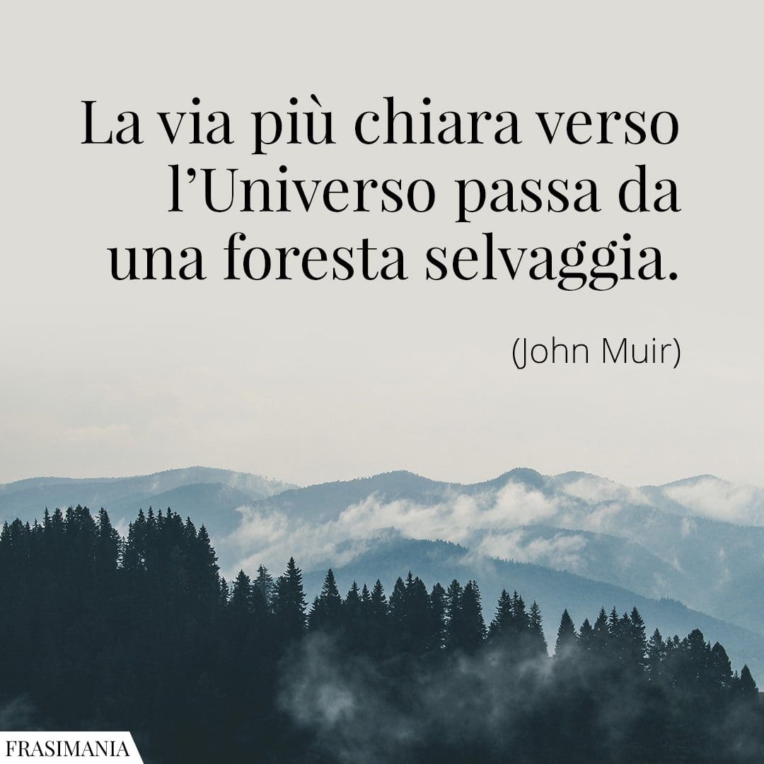 La via più chiara verso l'Universo passa da una foresta selvaggia.