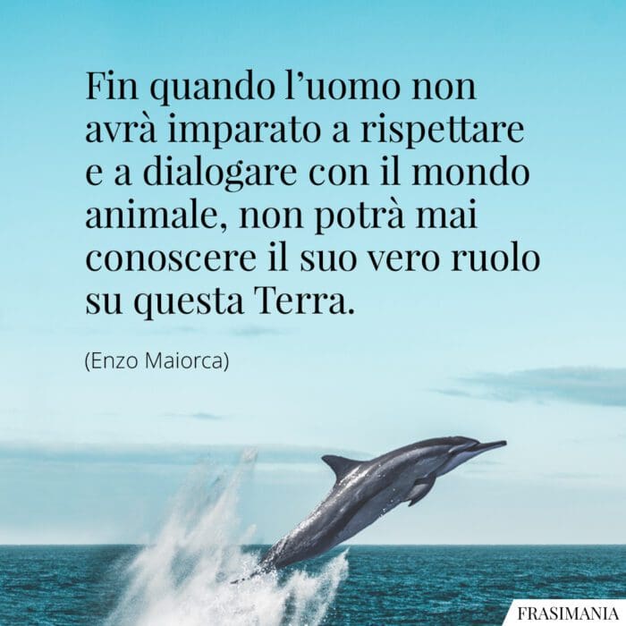 Fin quando l'uomo non avrà imparato a rispettare e a dialogare con il mondo animale, non potrà mai conoscere il suo vero ruolo su questa Terra.