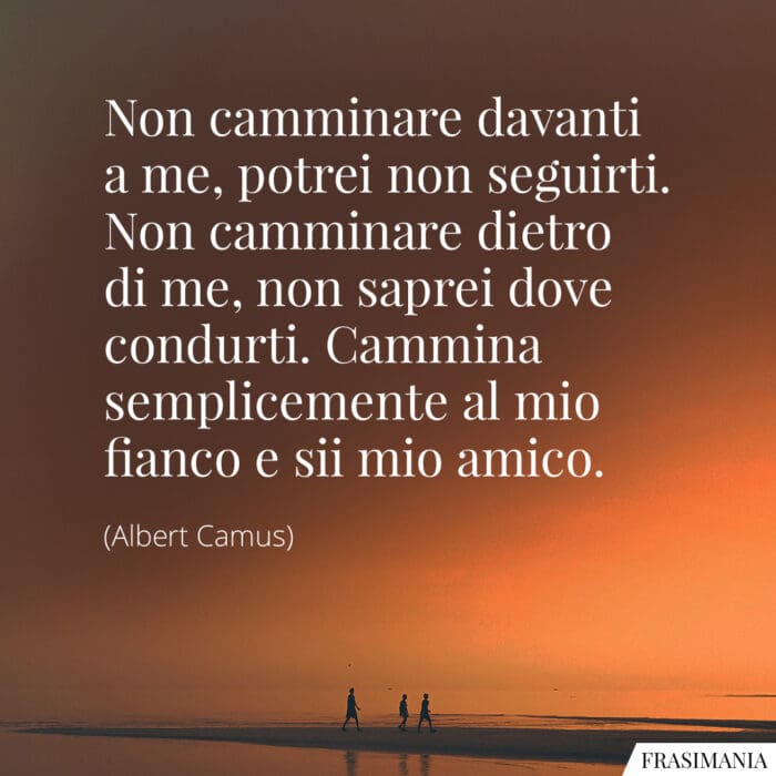 Non camminare davanti a me, potrei non seguirti. Non camminare dietro di me, non saprei dove condurti. Cammina semplicemente al mio fianco e sii mio amico.