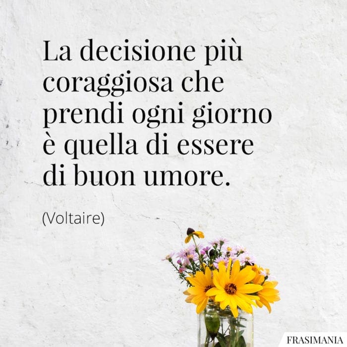 Frasi decisione buon umore Voltaire