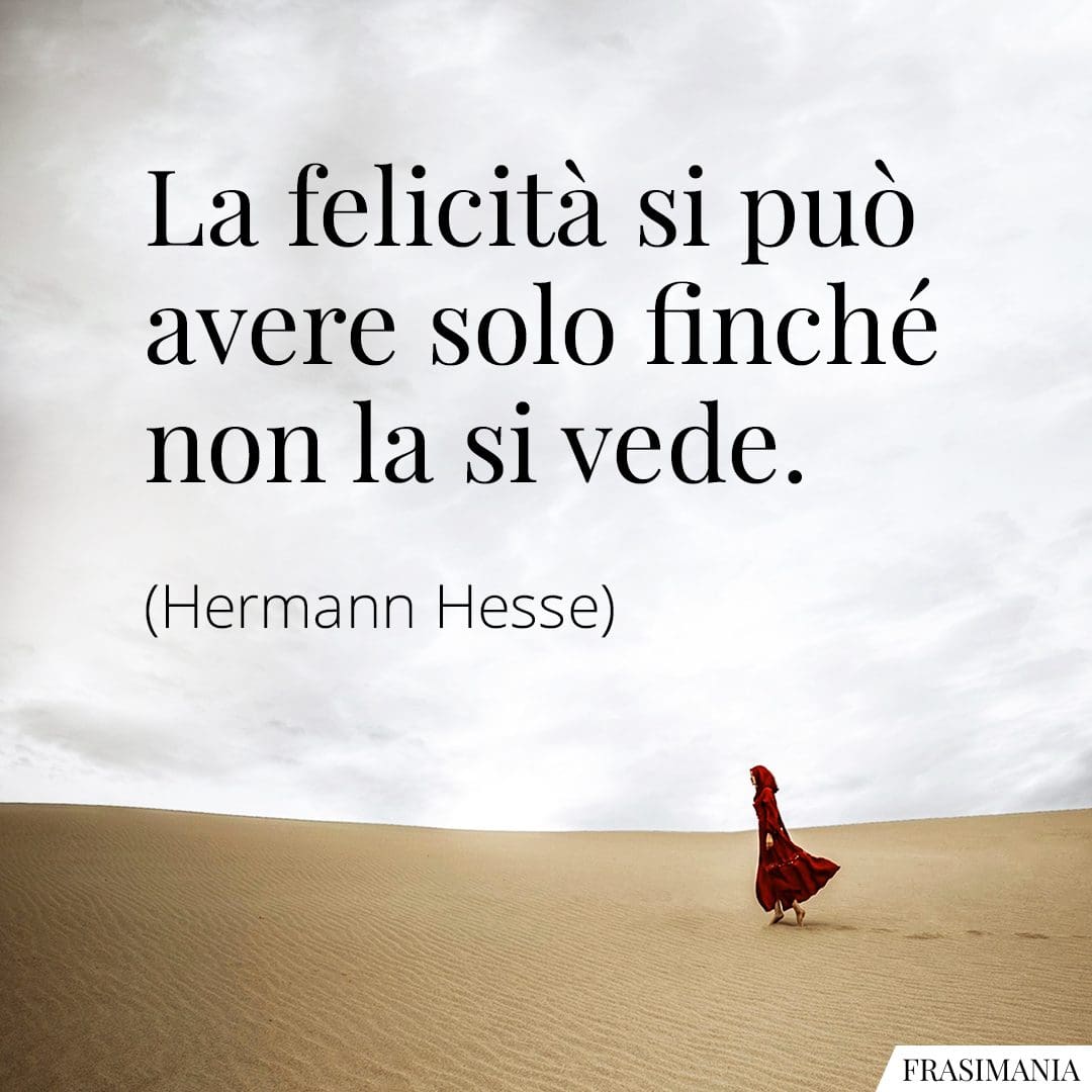La felicità si può avere solo finché non la si vede.