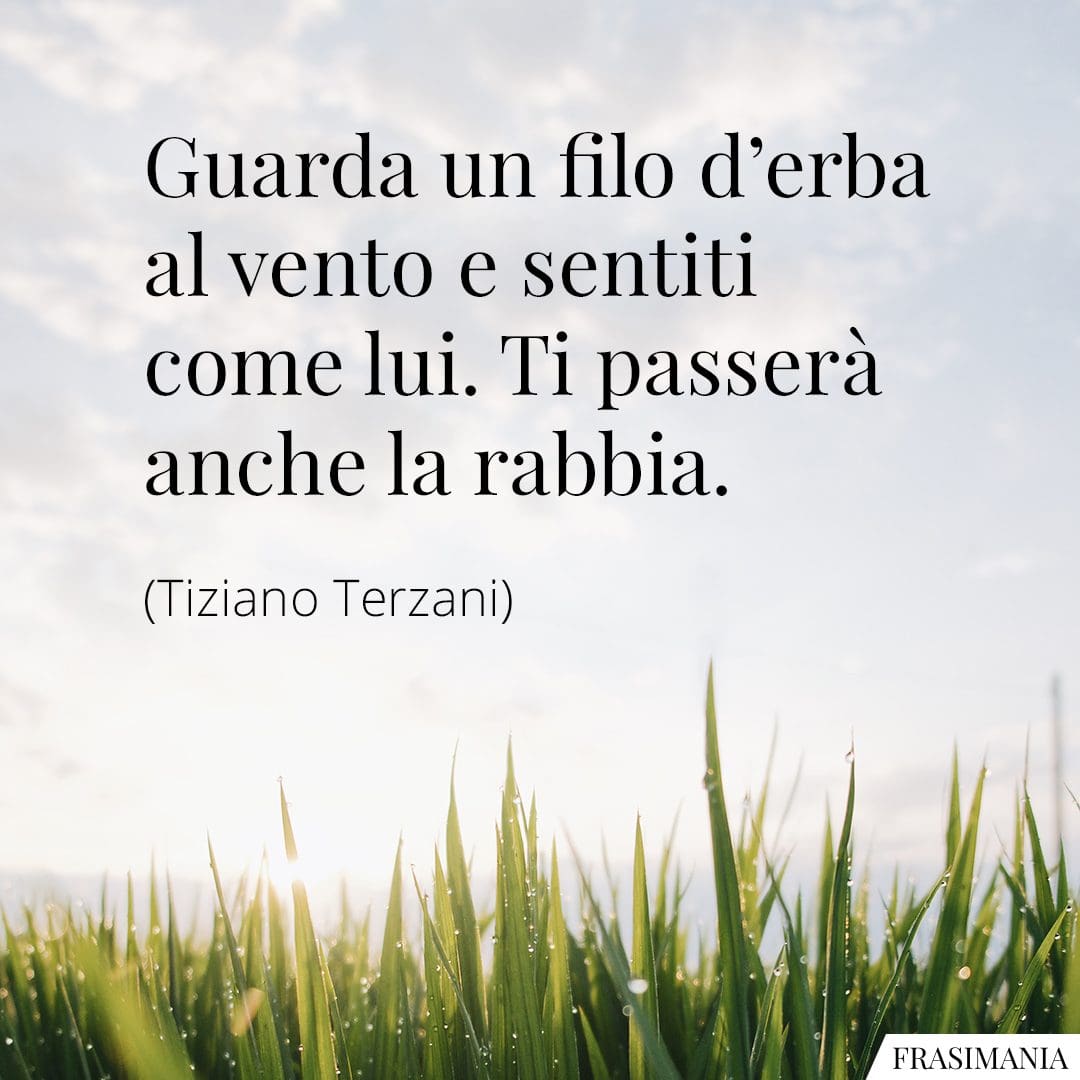 Guarda un filo d'erba al vento e sentiti come lui. Ti passerà anche la rabbia.