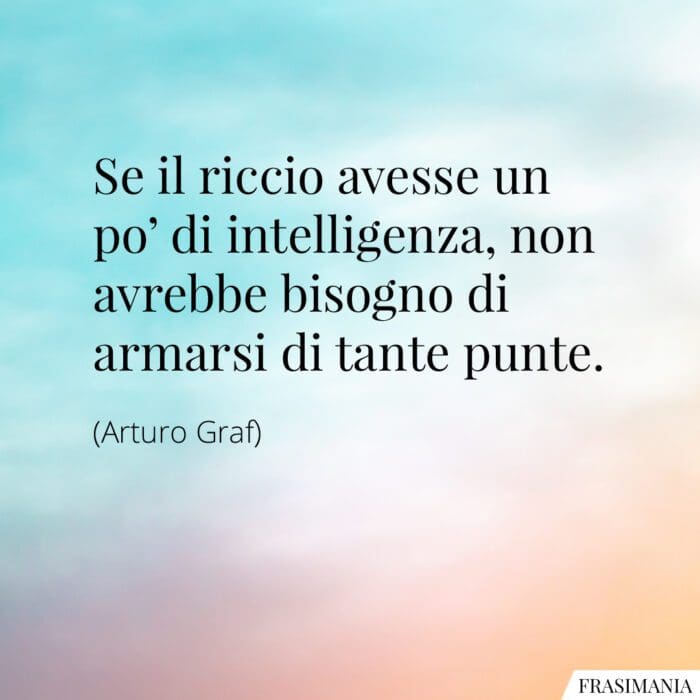 Se il riccio avesse un po' di intelligenza, non avrebbe bisogno di armarsi di tante punte.