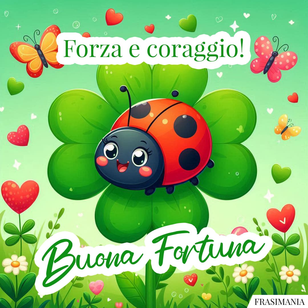Forza e coraggio! Buona Fortuna.