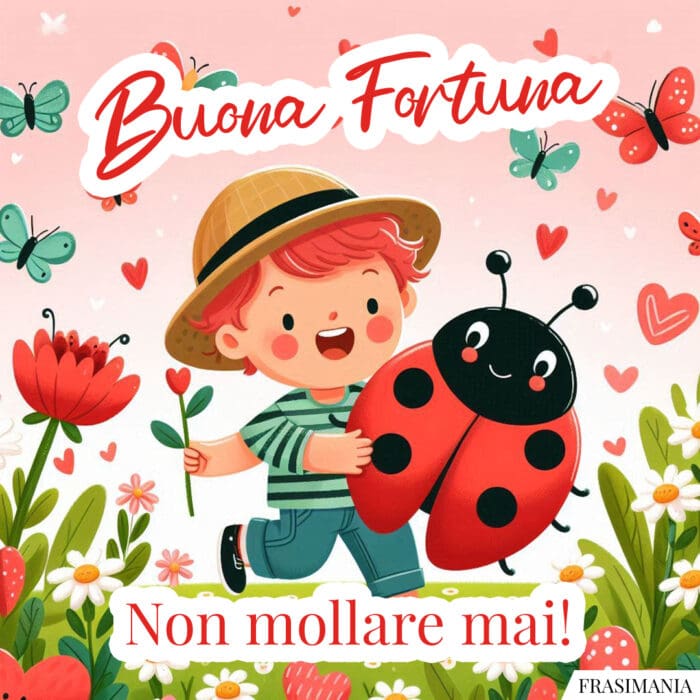 Buona Fortuna. Non mollare mai!