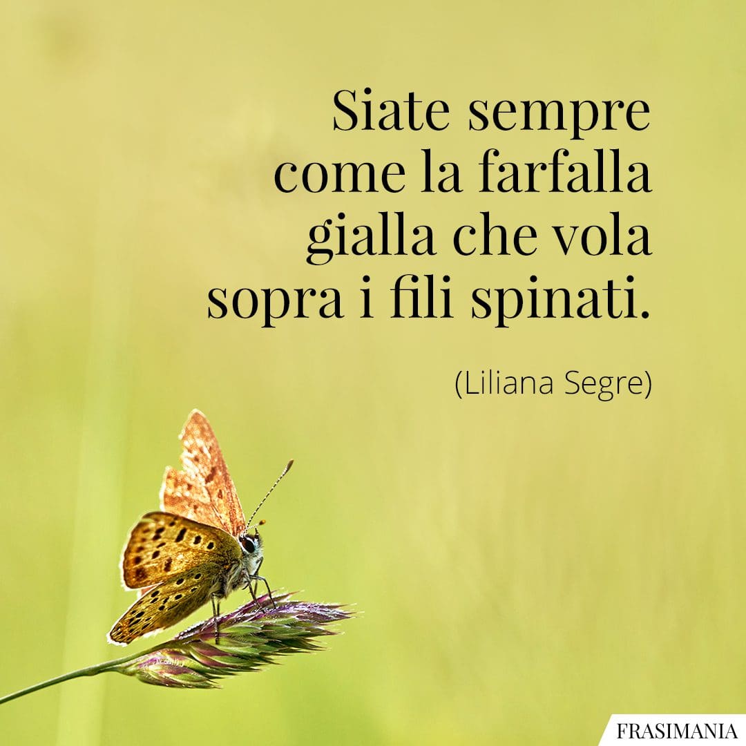 Siate sempre come la farfalla gialla che vola sopra i fili spinati.