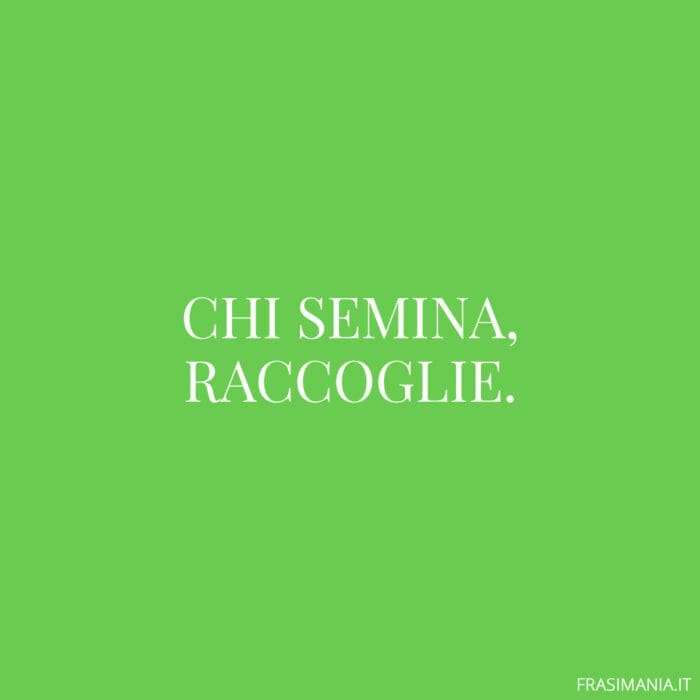 Chi semina, raccoglie.