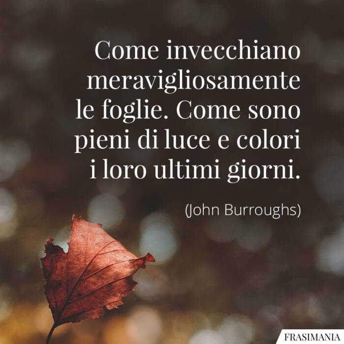 Frasi foglie luci colori Burroughs