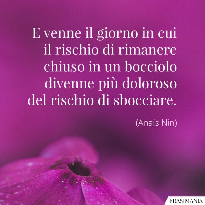 Frasi rischio sbocciare Nin