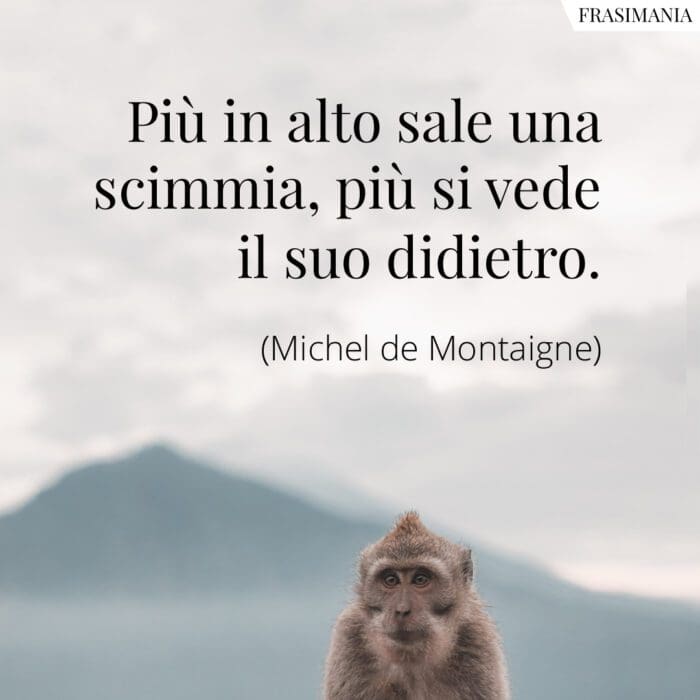Più in alto sale una scimmia, più si vede il suo didietro.