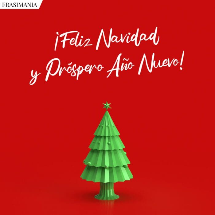 ¡Feliz Navidad y Próspero Año Nuevo!