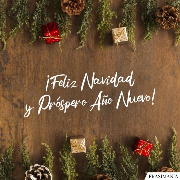 ¡Feliz Navidad y Próspero Año Nuevo!