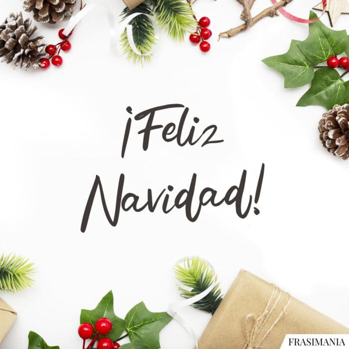 ¡Feliz Navidad!