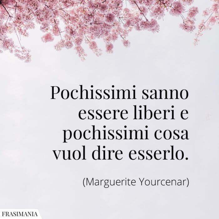Pochissimi sanno essere liberi e pochissimi cosa vuol dire esserlo.