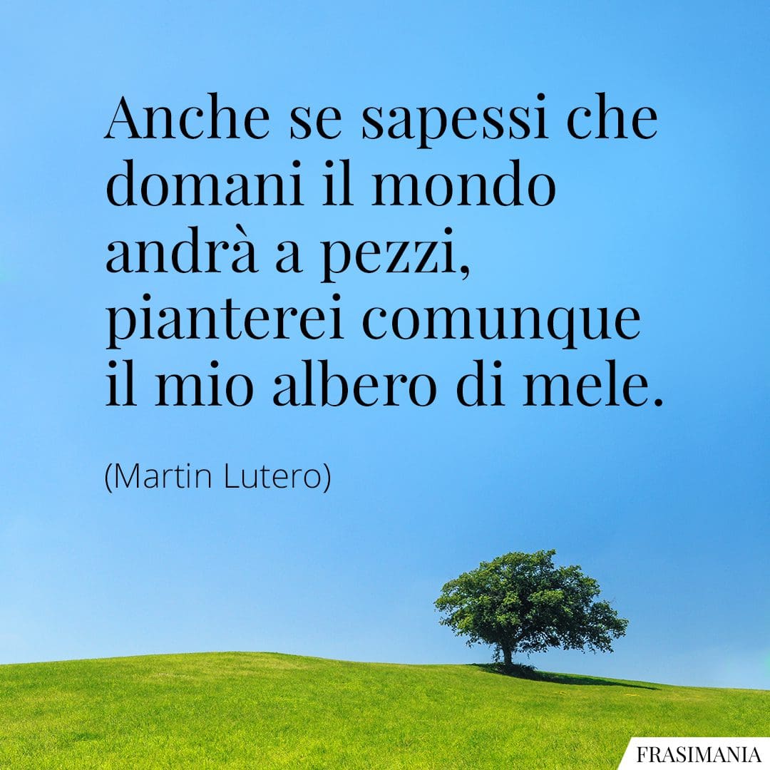 Anche se sapessi che domani il mondo andrà a pezzi, pianterei comunque il mio albero di mele.