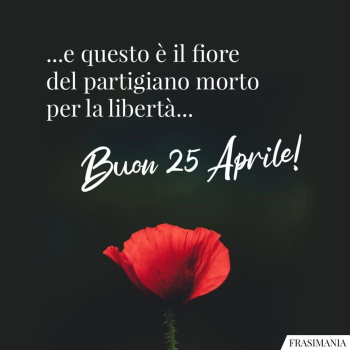 ...e questo è il fiore del partigiano morto per la libertà... Buon 25 Aprile!