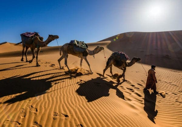 Parolacce in Arabo