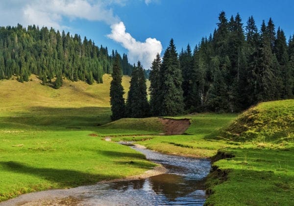 Parolacce in Rumeno