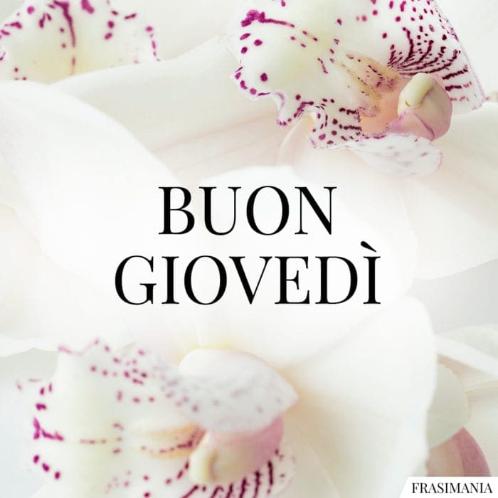 Buon Giovedì.