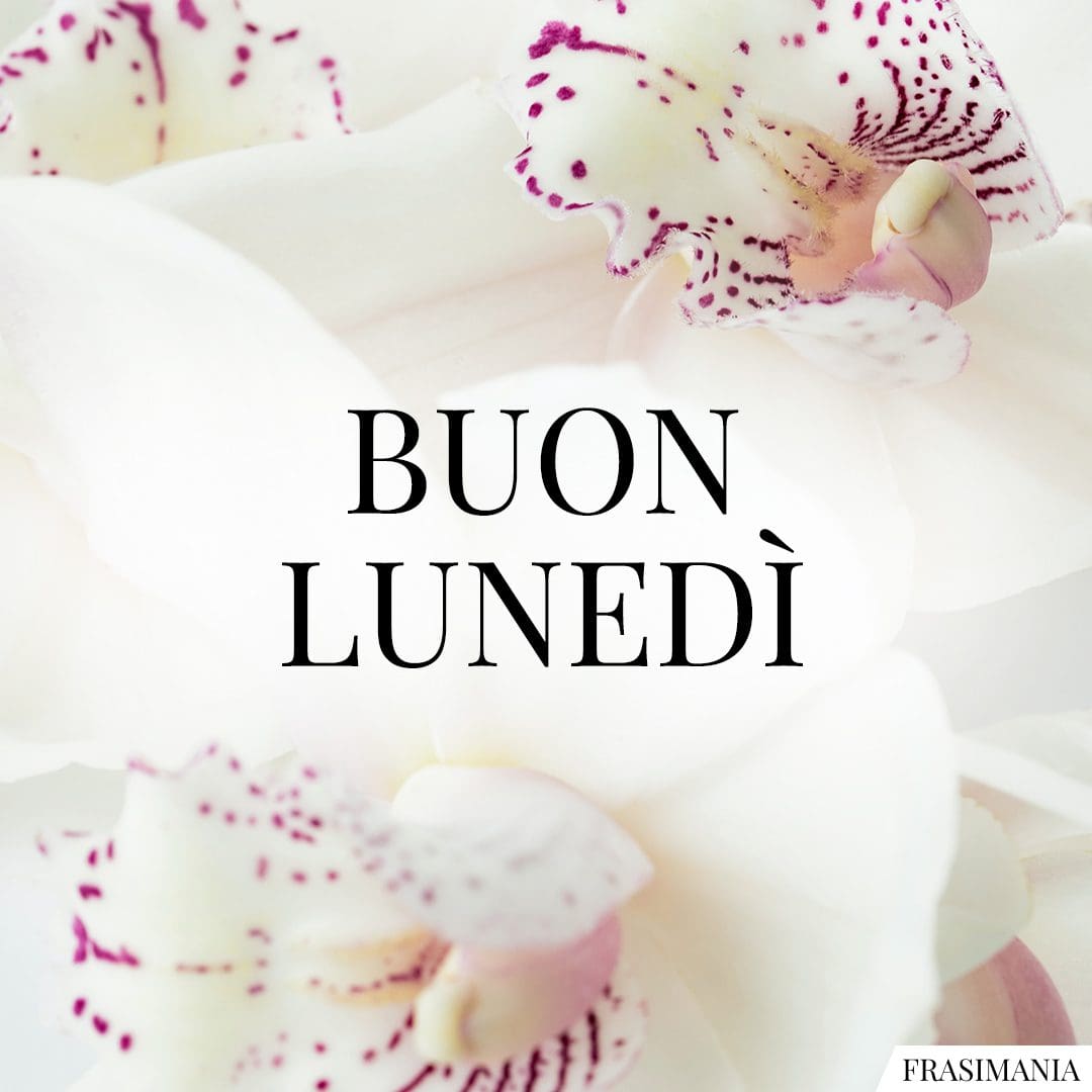 Buon Lunedì.