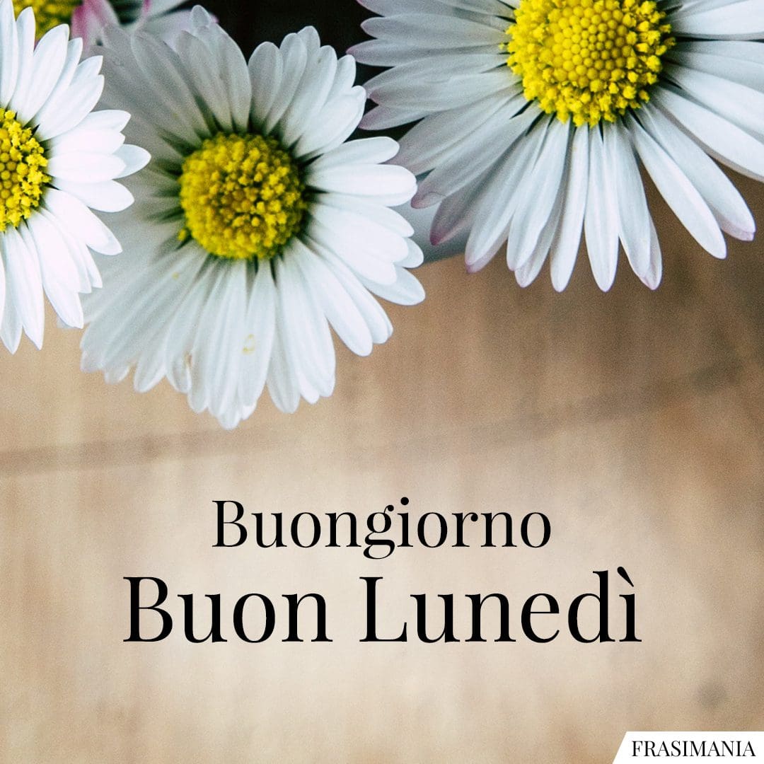 Buongiorno. Buon lunedì.
