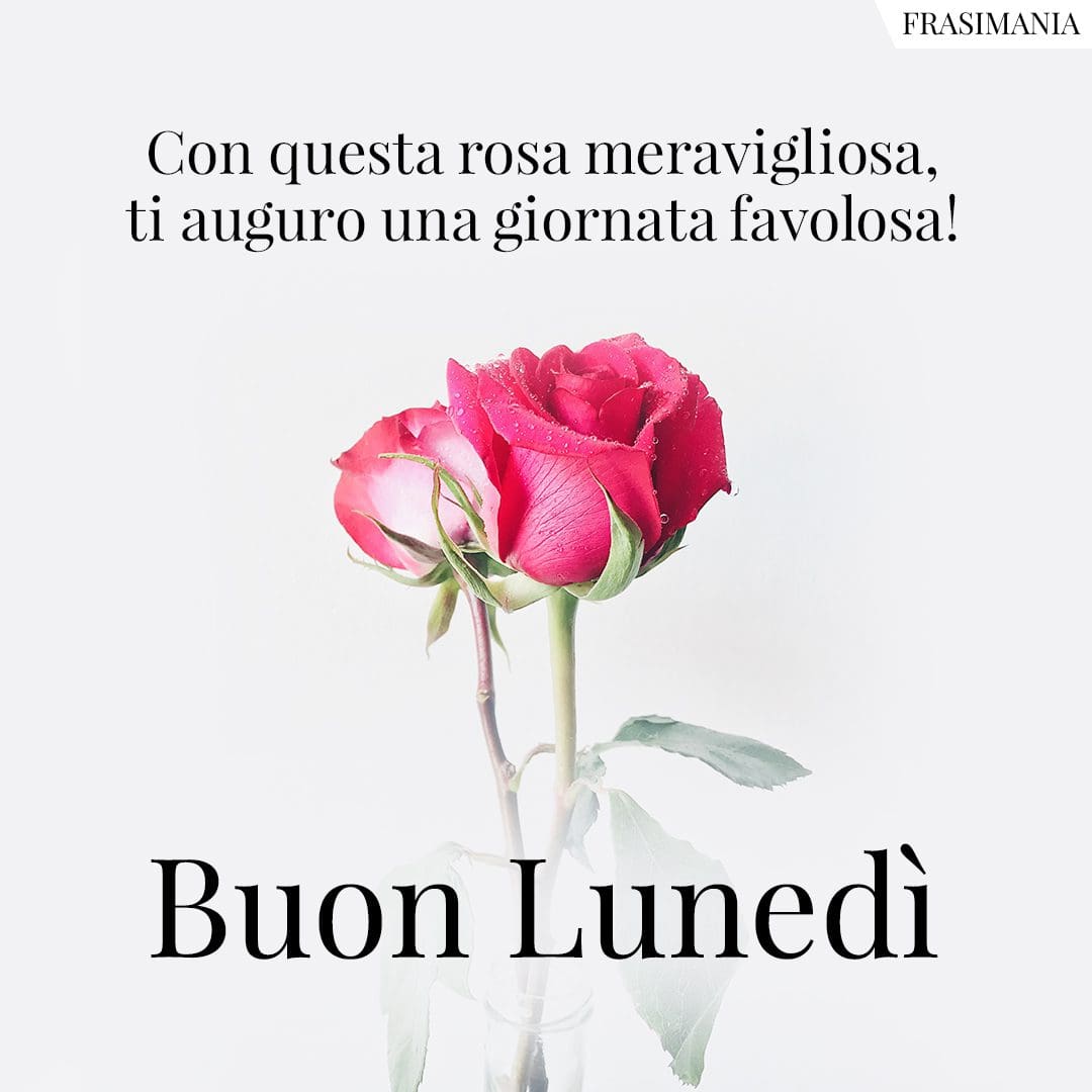 Con questa rosa meravigliosa, ti auguro una giornata favolosa! Buon Lunedì.