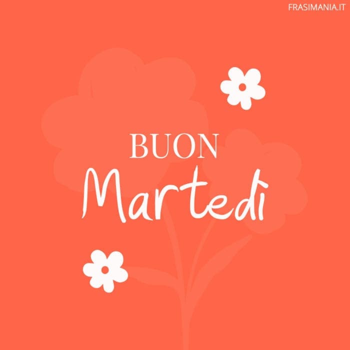 Buon Martedì.