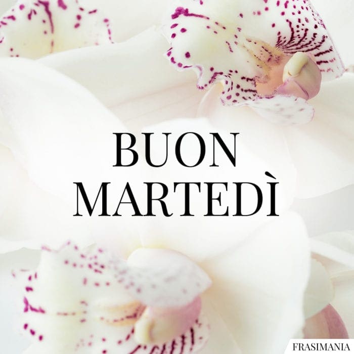 Buon Martedì fiori