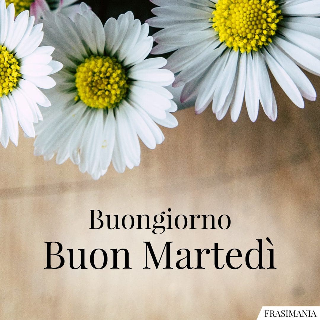 Buongiorno. Buon Martedì.