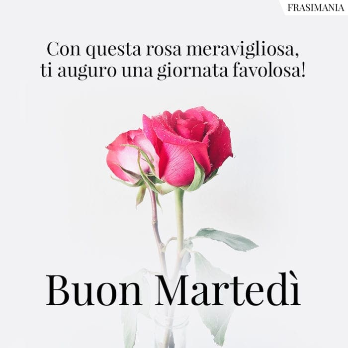 Con questa rosa meravigliosa, ti auguro una giornata favolosa! Buon Martedì.