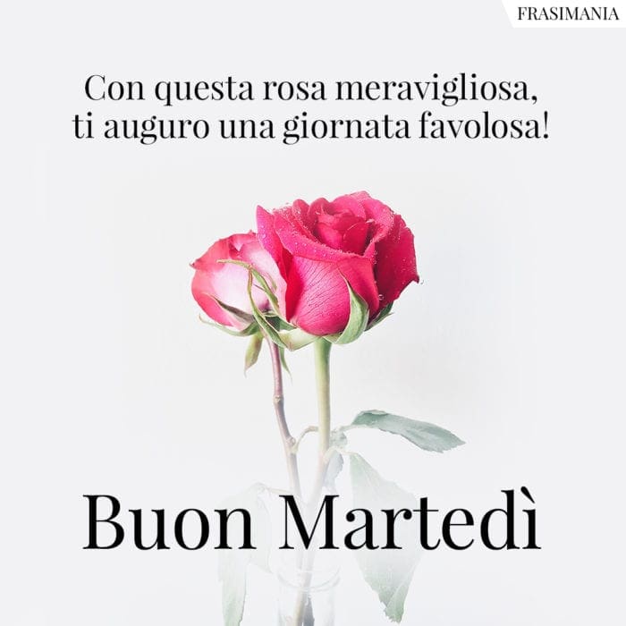 Buon Martedì rosa