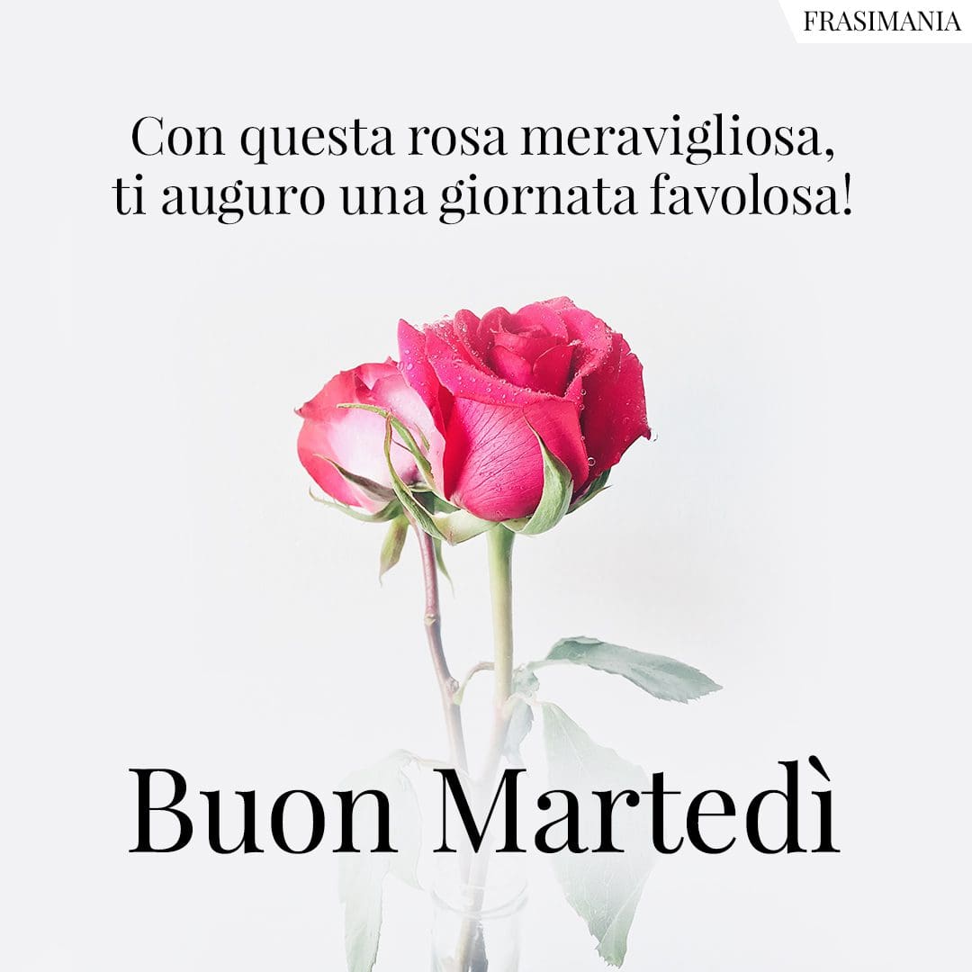 Con questa rosa meravigliosa, ti auguro una giornata favolosa! Buon Martedì.