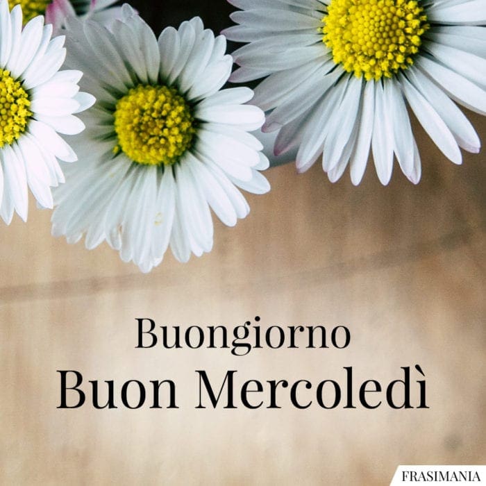 Buon Mercoledì fiori