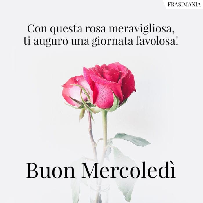 Buon Mercoledì rosa