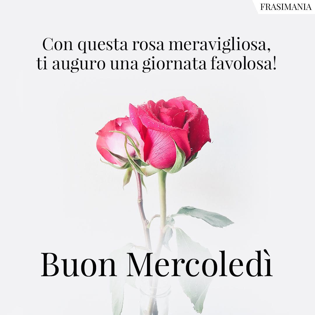 Con questa rosa meravigliosa, ti auguro una giornata favolosa! Buon Mercoledì.